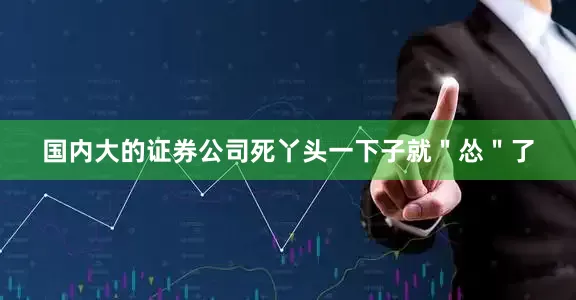 国内大的证券公司死丫头一下子就＂怂＂了