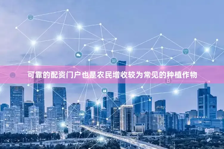 可靠的配资门户也是农民增收较为常见的种植作物